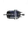 DT 6.64056 Spring-loaded Cylinder